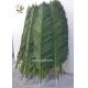 UVG 2 meters wholesale material uv artificial palm leaves for park decoration PTR041