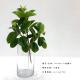 Indoor Decoration Green Ficus Artificial Tree Branches With Leaves , 33 Cm Size