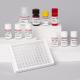 Antibodies to Nuclear (ANA) IgG ELISA Test Type Elisa Kit