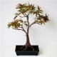 Potted Artificial Maple Bonsai , Imitation Bonsai Trees Rejuvenating Customized