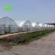 Film Covered Agricultural Tunnel Greenhouse for Growing Vegetables Fruits and Flowers