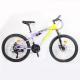 Wholesale 21 Speed Customized Cheap Adult Mountain Bike 24/27.5 Inch Bicycle