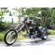 Fast Speed 250cc Chopper Motorcycle Harley Chopper Motorcycle Four Color With Two Wheel