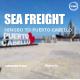 FOB DDP DDU Global Sea Freight	Ningbo To Puerto Cabello Venezuela