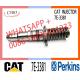 Diesel Engine Fuel Injector 4P-9076 9Y-4544 0R-3883 0R-0906 7C-4173 6I-3075 7C-9578 7E-3381 For C-A-T