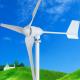 24V/48V 800w/1000w Garden Windmill/Wind Generator/Wind Turbine  M5 Model