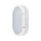 IP65 15W Oval Outdoor LED Bulkhead Wall Ceiling Surface Mounted  For Kitchen