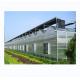 Large Scale Multi Span Agricultural Greenhouse For Growing Vegetables And Flowers
