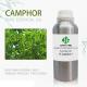 100ml Cosmetic Essential Oils 100% Pure Camphor Oil For Massage Health Care OEM