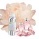 Concentrated Rose Perfume Oil Fragrance Flowers Perfume Fragrance Oil