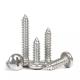 High 304 Performance Small Self Tapping Metal Screws Stainless Self Tappers
