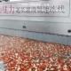 DJL Dry Ice Liquid Nitrogen Dual Use Type Iqf Freezer Machine For Shrimp