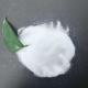 White Paraloid Acrylic Resins Acrylic Polymer Powder BA-725 Similar To Paraloid B-725