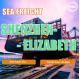 Shenzhen To Elizabeth South Africa International Sea Freight Logistics 26 Days