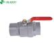 Customized Request Chinese Red Steel Handle QX PVC 2 PCS Ball Valve for Plumbing System