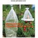 Garden used tomato plastic film cover,high light transmittance solar control seeding nursery greenhouse covers,100% virg