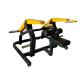 Befreeman High Quality Commercial Gym Arm Exercises Equipment Plate Loaded Triceps Machine