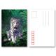 Durable Animal Theme OEM 3D Lenticular Postcard / Gift Card Printing