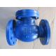 803-F DIN check valve flanged ends
