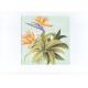 FDA 2-3ply 25x25cm Printed Paper Napkins For Summer Party