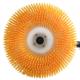Single-Head Spin Brush Solar Panel Cleaner with 7.5m Water Fed Pole and Lithium Battery