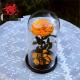 Natural Fresh flower rose Preserved rose in glass terrariums with base for luxury gifts