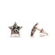 RainSo Fashion Stainless Steel Rose Gold Star Shape Stud Earrings