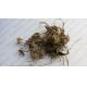 Natural dried Plantago asiatica L whole plant traditional chinese herb Che qian cao