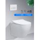 Ceramic Sanitary Ware Toilet Wall Hung Single Piece WC 540X360X900mm