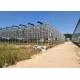 Venlo Glass Greenhouse , Multi Span Greenhouse For Hydroponics System