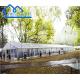 Luxury White Wedding Tent Large Winter Outdoor Party Tent Large Party Tents For Sale