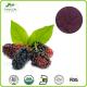High Quality Mulberry Extract / Anthocyanidins25%