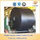 Hot-Selling Nylon Canvas Conveyor Rubber Belt (ISO9001 Standard)