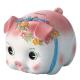 OEM Home Decorative Coin Bank /Piggy Bank with Wholesale Price