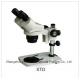 Fixed Times Stereo Microscope (Xtd-12)