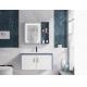Powder Rooms Hanging Bathroom Cabinet Modern Sleek Minimalist Design