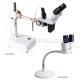 10x Stereo Optical Microscope Binocular WF10x A22.1201 With CE