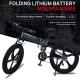 Led Display Magnesium Alloy Soft Tail Frame 40Km/H Lithium Battery Electric Bike