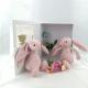 Custom Cute Rabbit Cotton Plush Soft Animal Toys Plush And Stuffed Bunny Toys