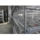 High Performance Industrial Chicken Coop Easy To Assemble ISO Certification