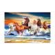 40*60cm 3D Image Poster Large Size Animal Horse Pictures Wall Prints