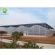 High Efficiency Agricultural Multi Span Greenhouse 200micro PE Film Covered