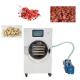 Industrial Stainless Steel Food Dehydrator Freeze Dryer Vacuum 220v