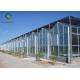 9.6m Commercial Glass Greenhouse