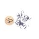 M0.6-M3 Round Head Torx Stainless Steel Screw Mini Small Size Micro Screw for Glasses Computer Phone