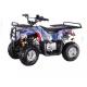 50cc-125cc Air Cooled Auto Clutch ATV/Quad