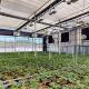 Medicine Planting US Marketing Automatic Light Deprivation Greenhouse With Blackout System