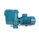 4hp Water Circulation Pump High Pressure For Indoor Outdoor Swimming Pool
