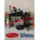 Delphi Perkins Diesel BP20C6 BP5717 Engine Common Rail Fuel Pump 9323A340G  9520A383G 9520A413