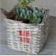 home dicorative wicker garden basket willow flower basket willow plant basket